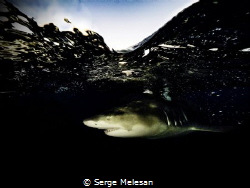 At the surface by Serge Melesan 